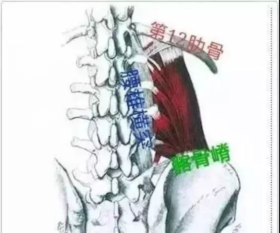 矢_讨鬼传2弓火矢咒矢_矢内里华