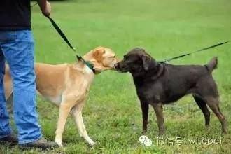 Interaction缩写_Interactions._interactions