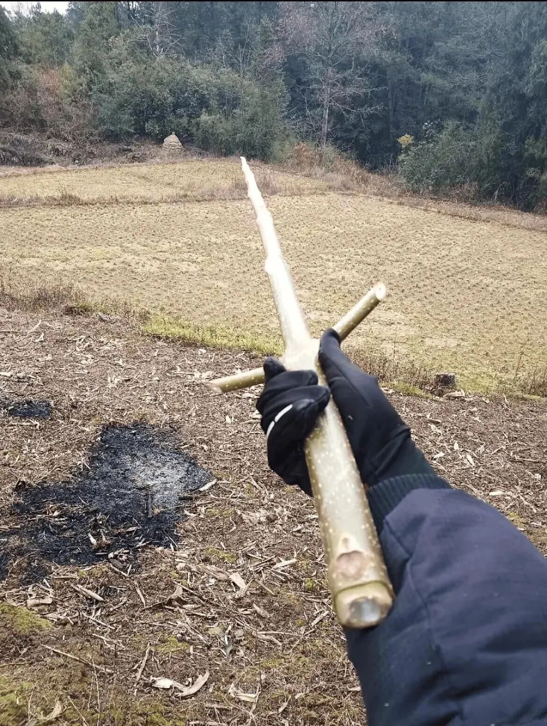 刀马旦_刀_刀郎的新歌《罗刹海市》歌词