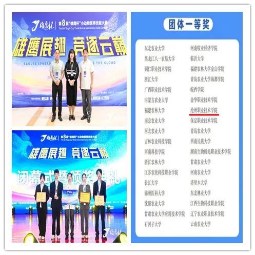 过关斩将图片_过关斩将_过关斩将第二关怎么卡