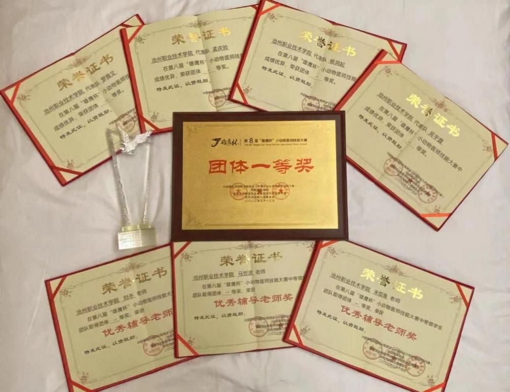 过关斩将第二关怎么卡_过关斩将图片_过关斩将