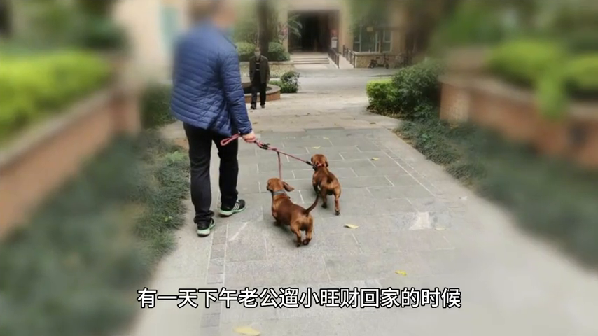 一波三折_折耳根_折星星