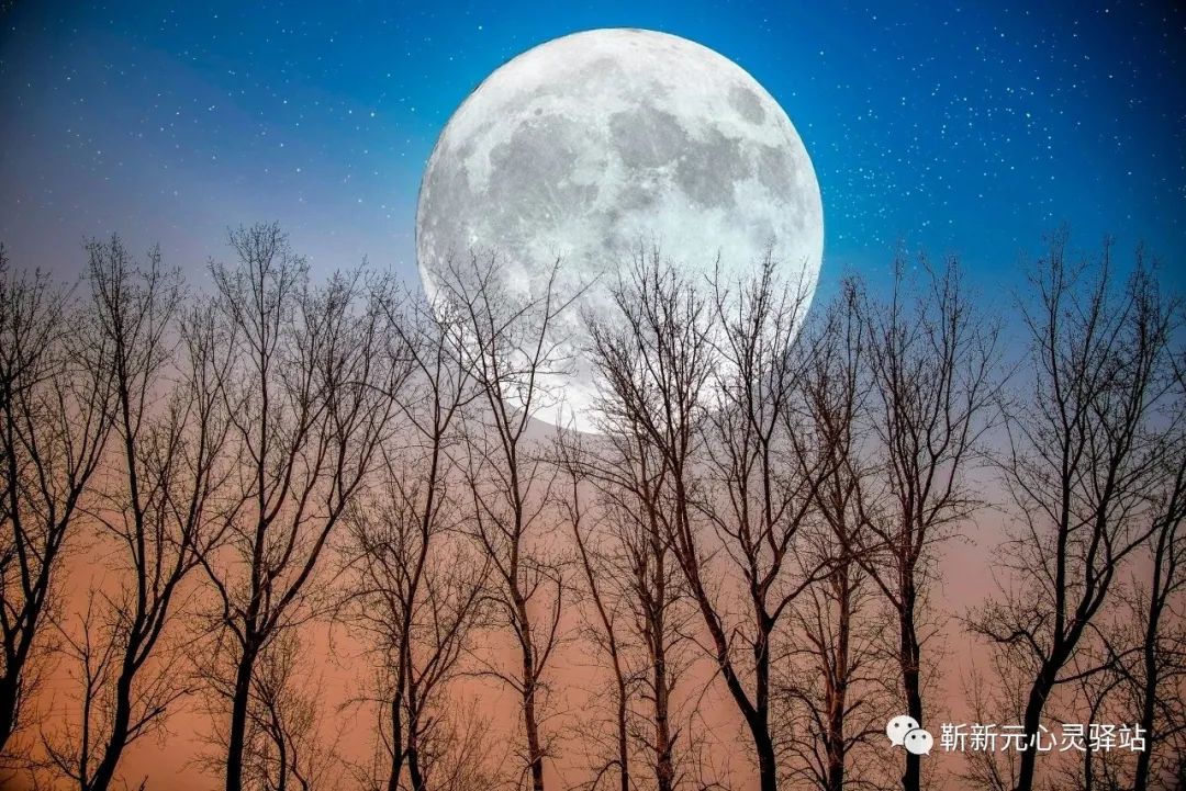 礼拜堂_一夜恩宠拜堂不洞房_洞房不拜堂