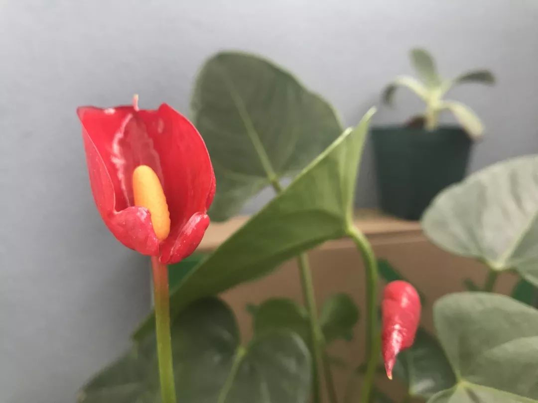 手机自动校对时间_校对时间_华为手机如何校对时间