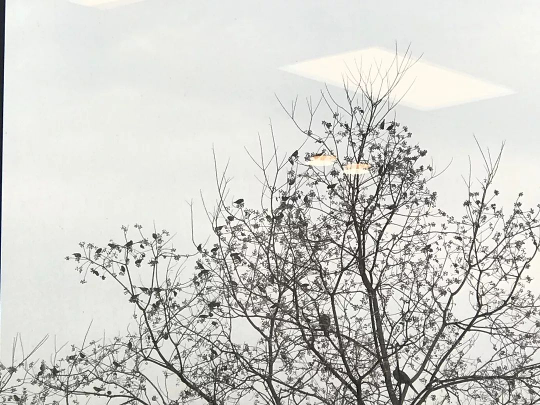 华为手机如何校对时间_手机自动校对时间_校对时间