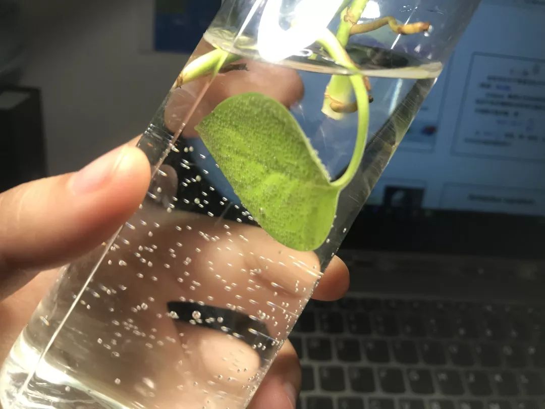 华为手机如何校对时间_手机自动校对时间_校对时间