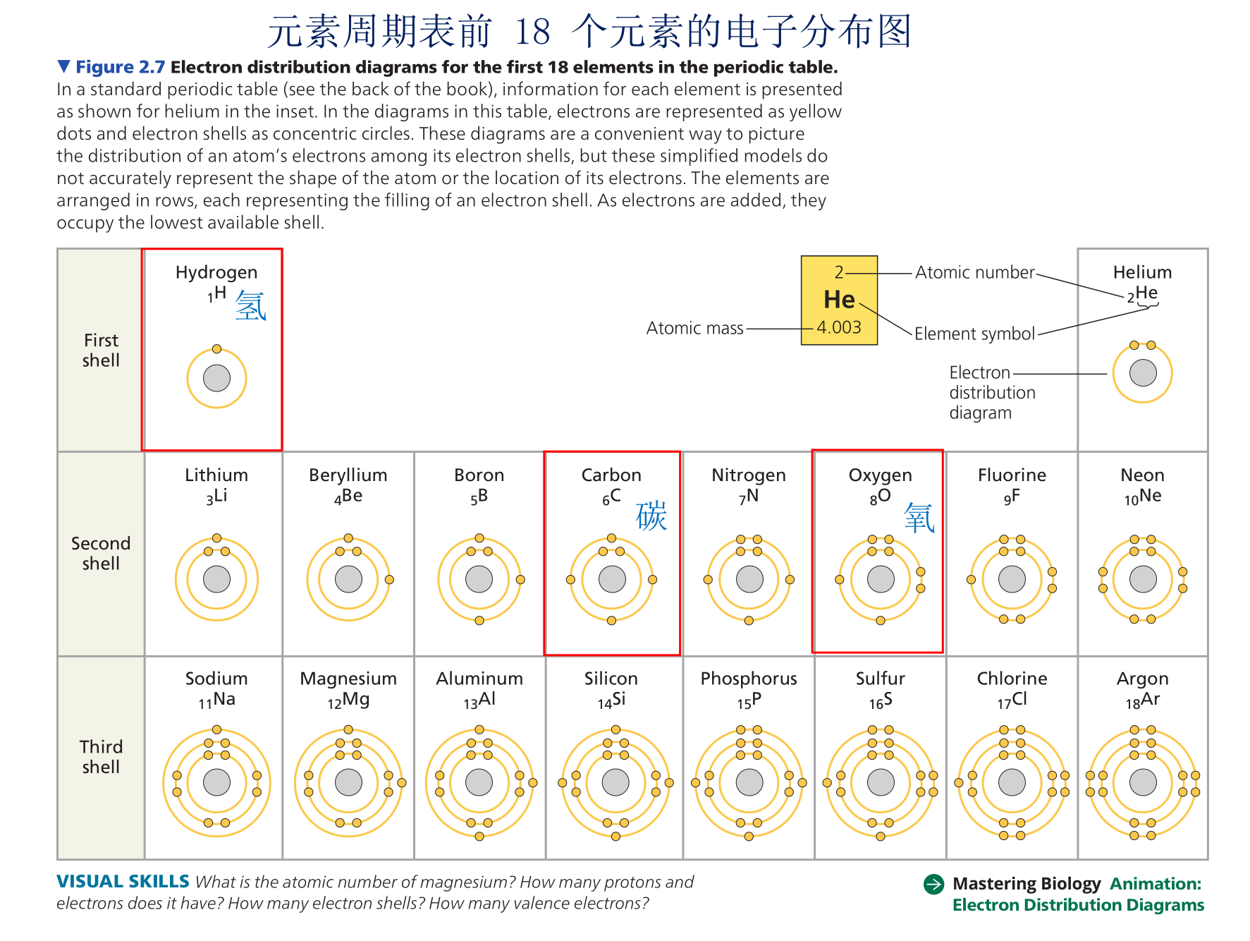 coined_coined什么意思_coinedby