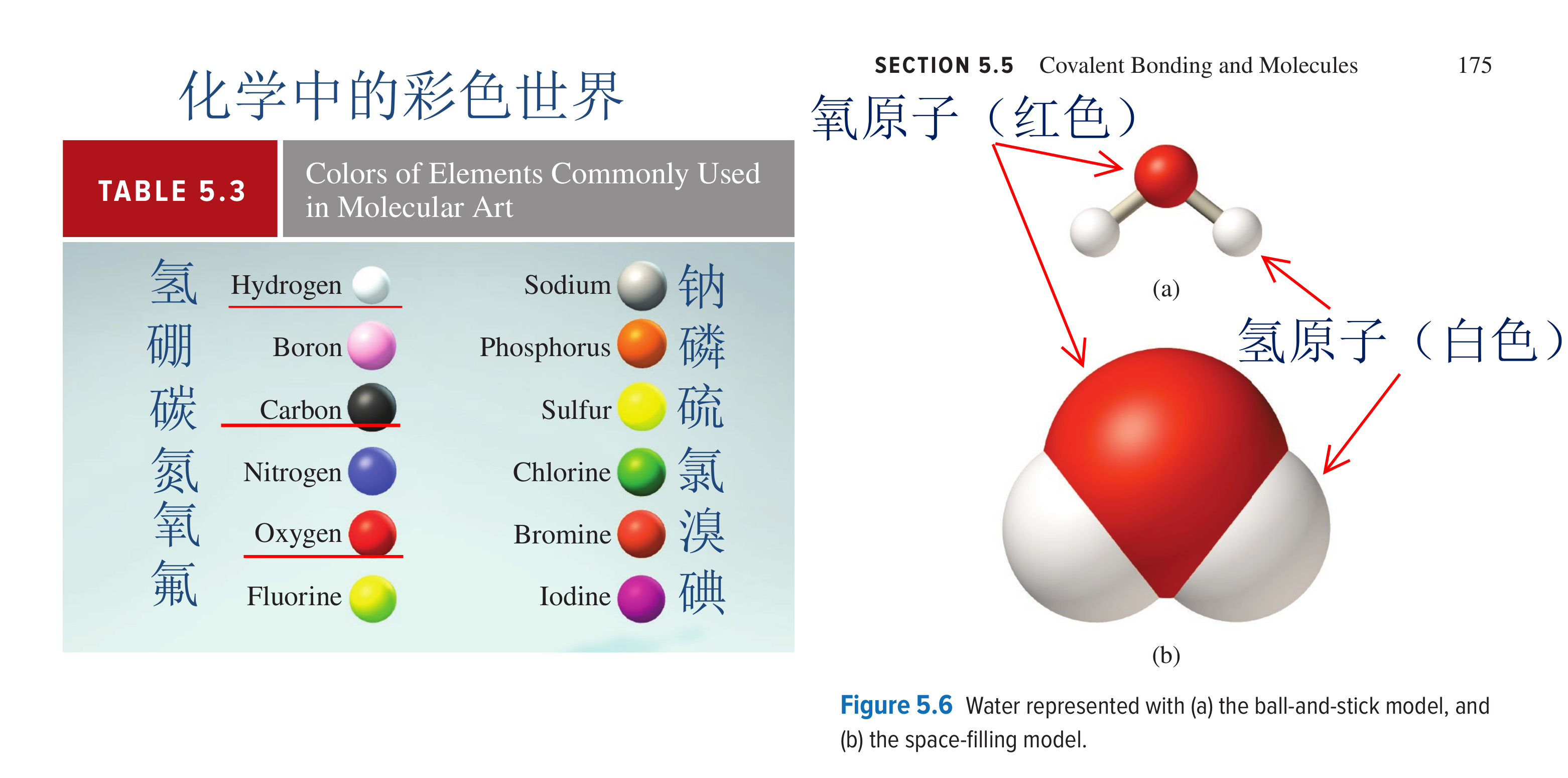 coined什么意思_coinedby_coined