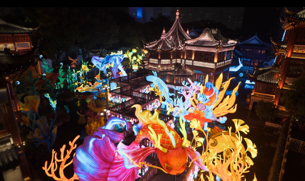 consulted_Consulted翻译_Consultedwith