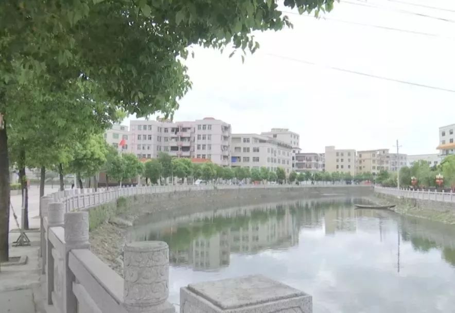 低回_低回声和高回声区别_低回声是什么意思