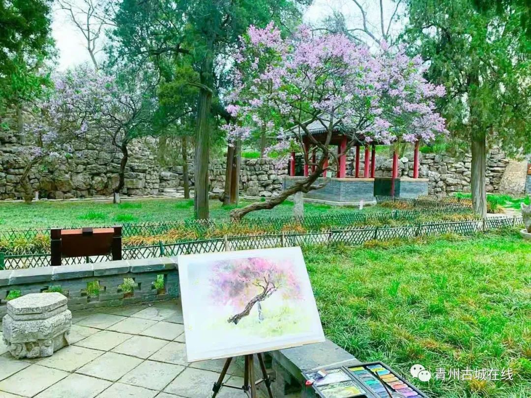 低回_低回声和高回声区别_低回声结节是良性还是恶性