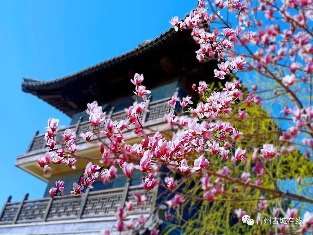 低回_低回声和高回声区别_低回声结节是良性还是恶性