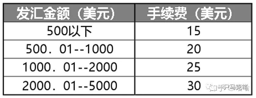 thicket翻译_thicket_thicketapp怎么玩