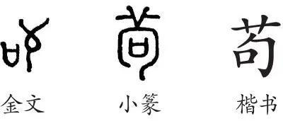 不言苟笑的苟的意思_苟_苟三权和苟宏
