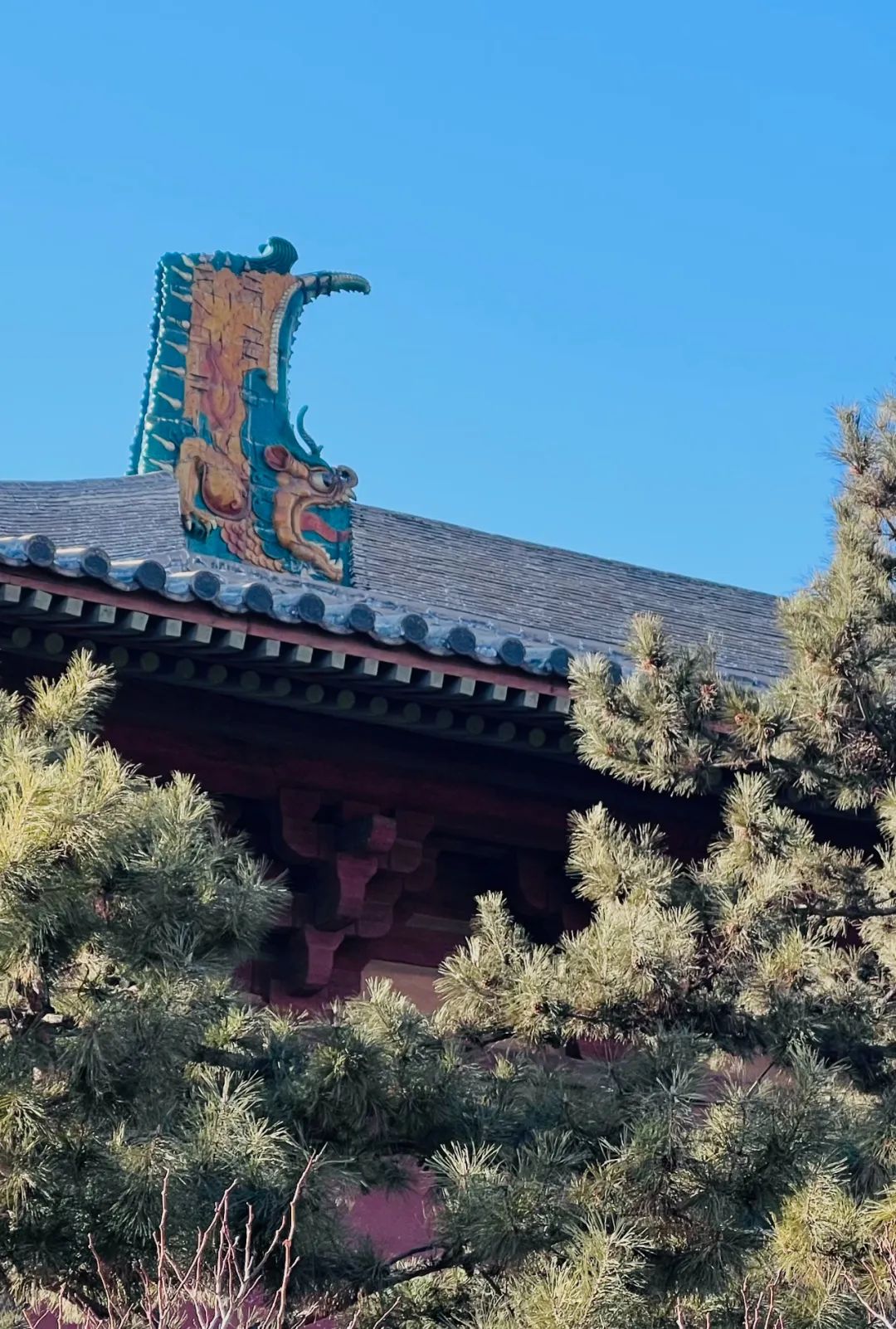 天下大同_大同天下香烟多少钱一包_紫气东来大同天下