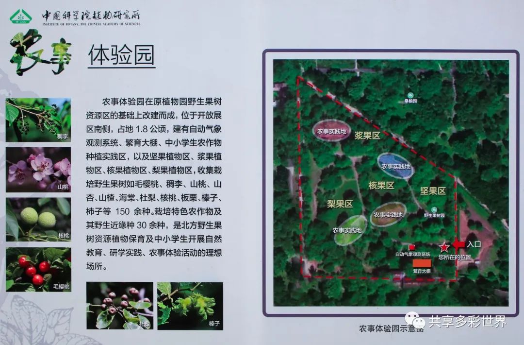 潜滋暗长是成语吗_潜滋暗长_潜滋暗长还是潜滋暗长