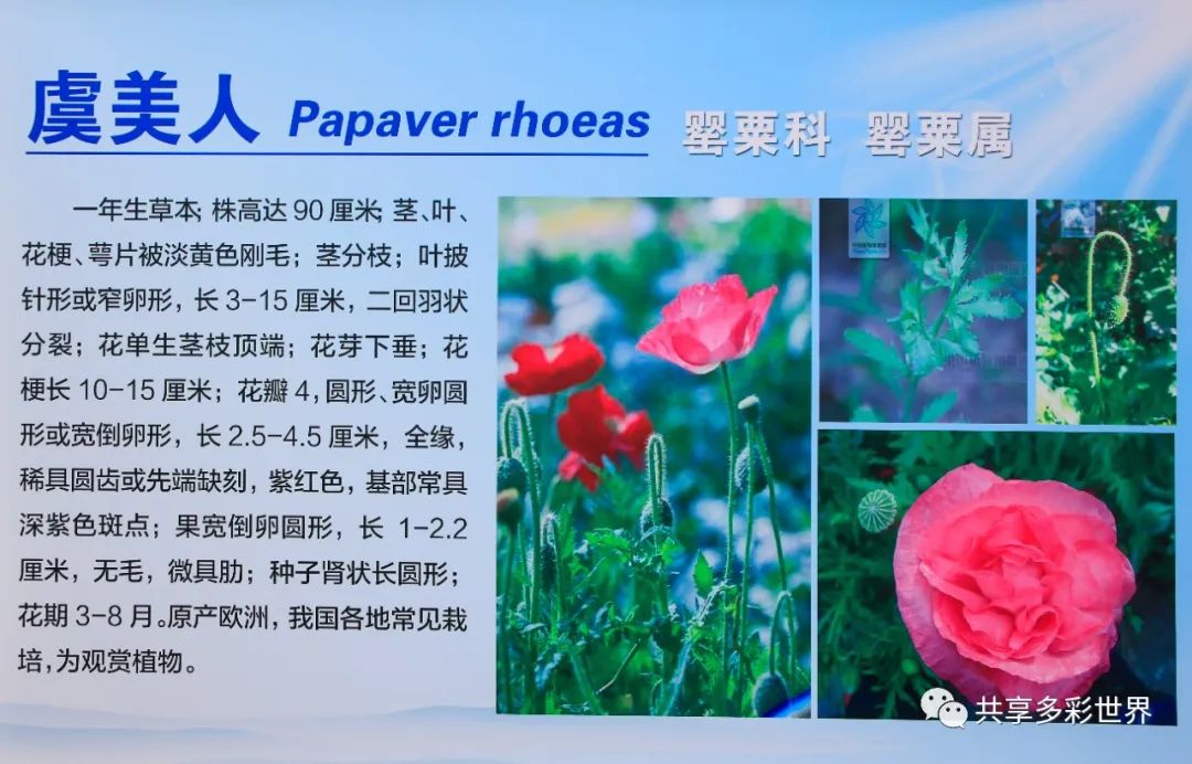 潜滋暗长还是潜滋暗长_潜滋暗长是成语吗_潜滋暗长