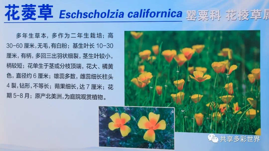 潜滋暗长还是潜滋暗长_潜滋暗长_潜滋暗长是成语吗
