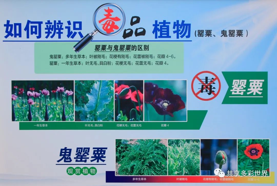 潜滋暗长_潜滋暗长还是潜滋暗长_潜滋暗长是成语吗