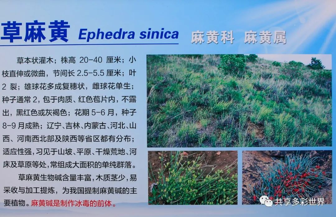 潜滋暗长是成语吗_潜滋暗长_潜滋暗长还是潜滋暗长