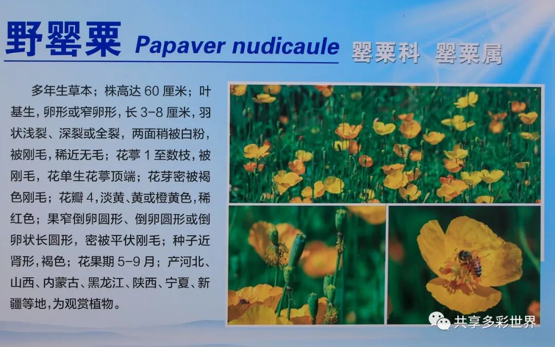 潜滋暗长_潜滋暗长还是潜滋暗长_潜滋暗长是成语吗