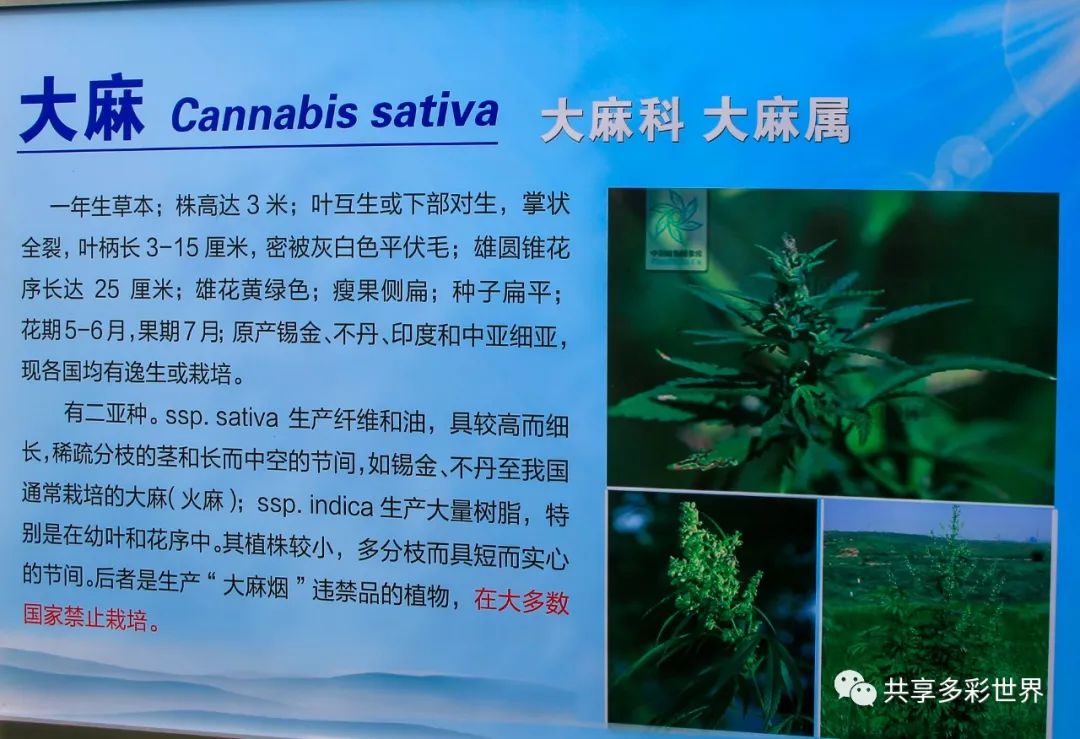 潜滋暗长_潜滋暗长是成语吗_潜滋暗长还是潜滋暗长