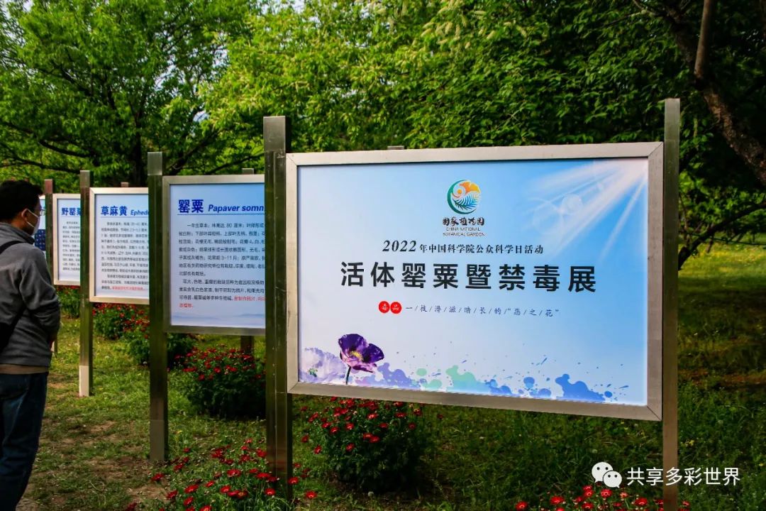 潜滋暗长_潜滋暗长是成语吗_潜滋暗长还是潜滋暗长