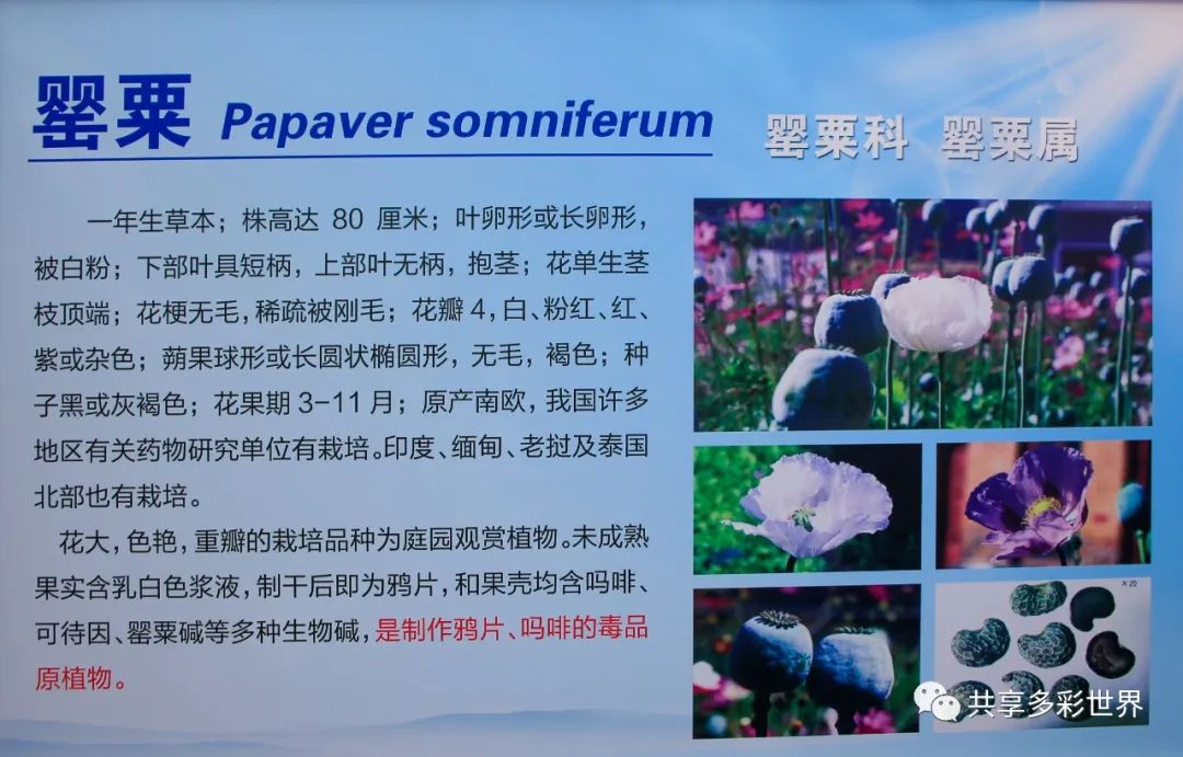 潜滋暗长还是潜滋暗长_潜滋暗长_潜滋暗长是成语吗