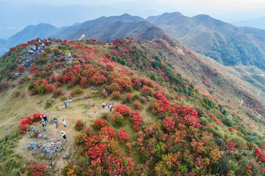 天露山_天露山_天露山