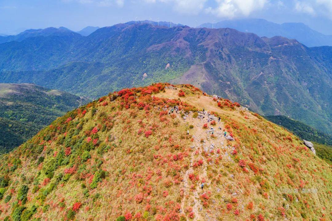 天露山_天露山_天露山