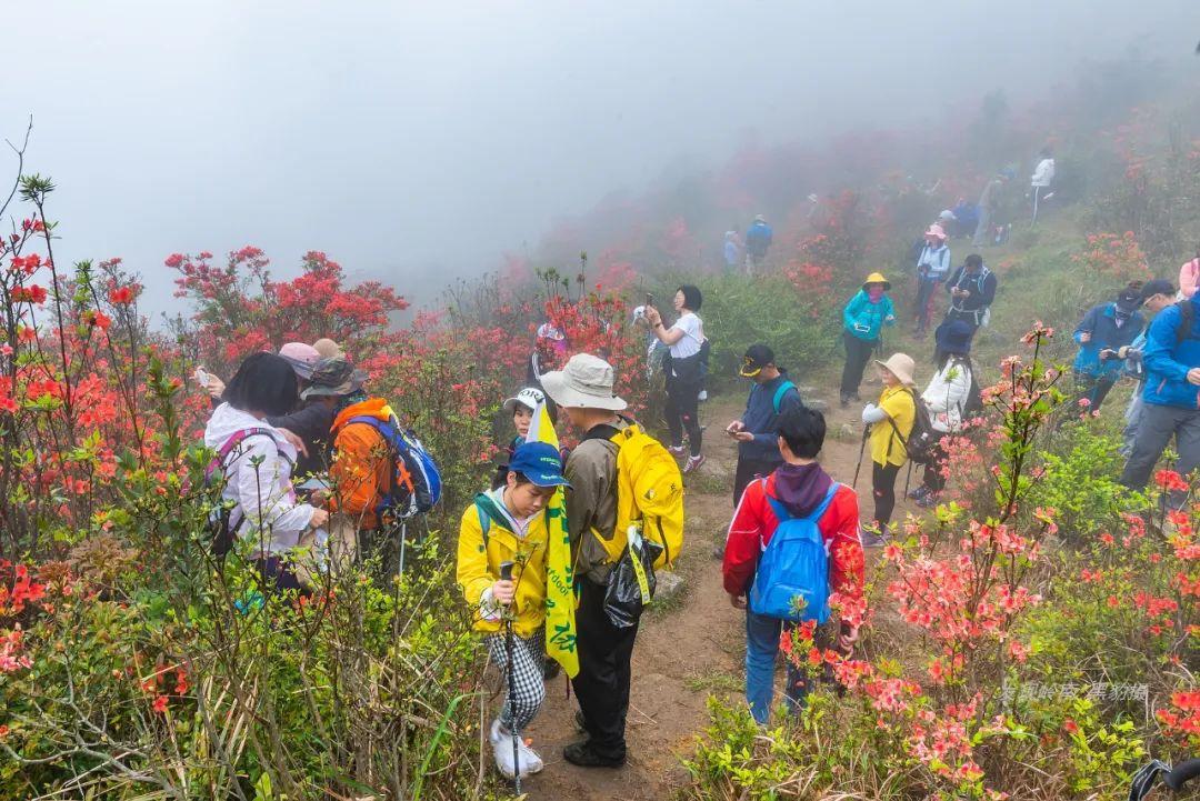天露山_天露山_天露山
