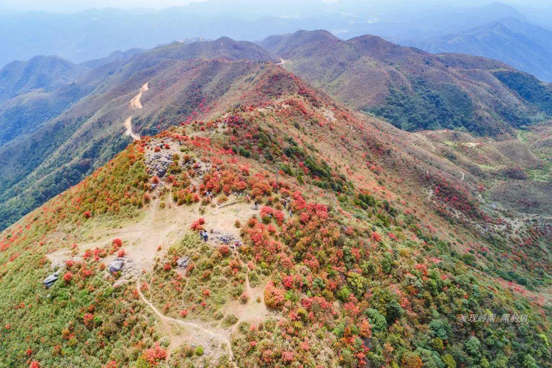 天露山_天露山_天露山