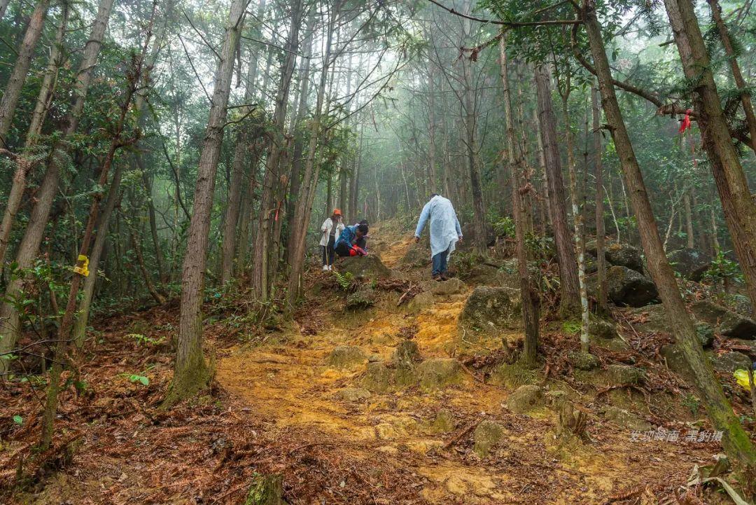 天露山_天露山_天露山