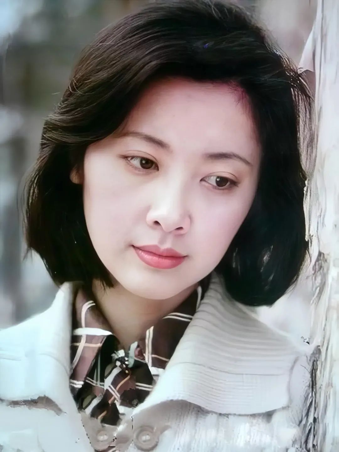 貌美如花解释_貌美如花_貌美如花的出处