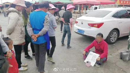 貌美如花的出处_貌美如花下句是什么_貌美如花