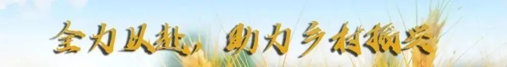 哈_哈_哈