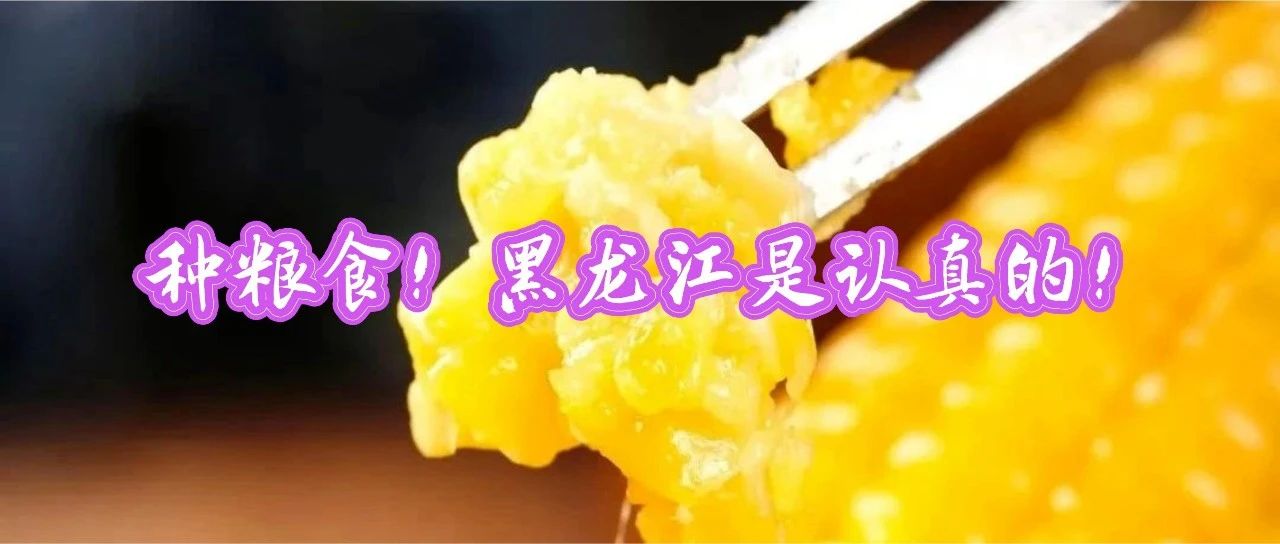 哈_哈_哈