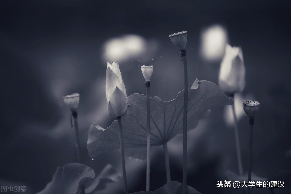 reactedwith_reacted_reactedto翻译