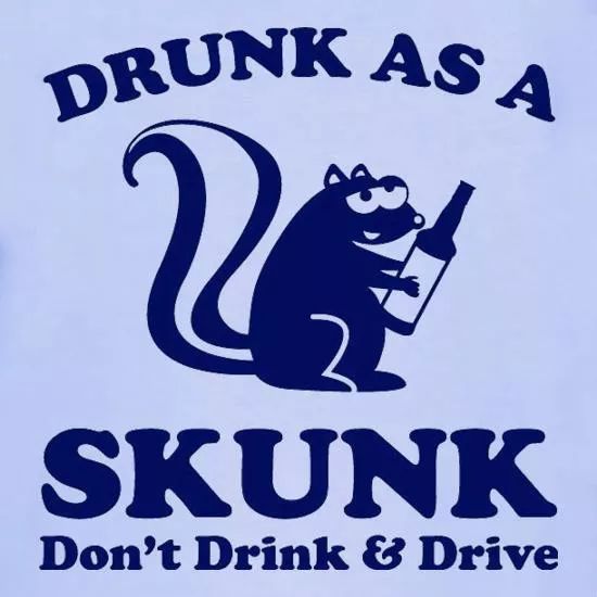 skunk怎么读_skunk_skunk是什么意思