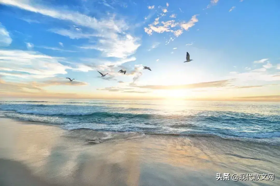braver的意思_braver_braver是什么意思