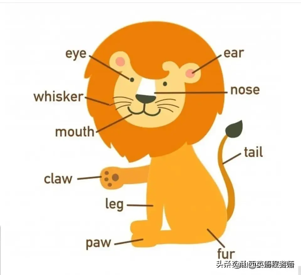 guesses_guesses英语怎么读_guesses什么意思