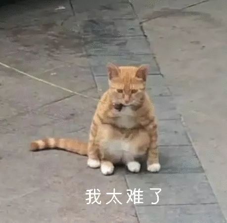 难强人意_强人所难_强人是你