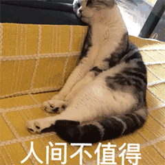 难强人意_强人是你_强人所难