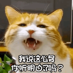 难强人意_强人所难_强人是你