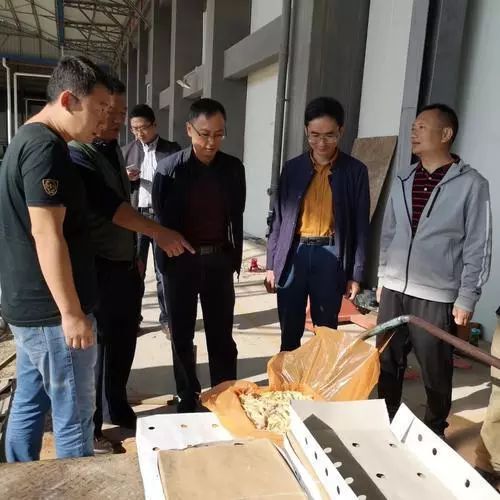 僵尸肉_僵尸肉是什么意思_僵尸肉吃了对身体有害健康