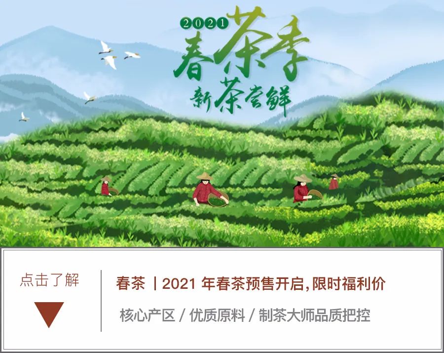 人才辈出的辈意思是什么意思_人才辈出_辈辈出人才