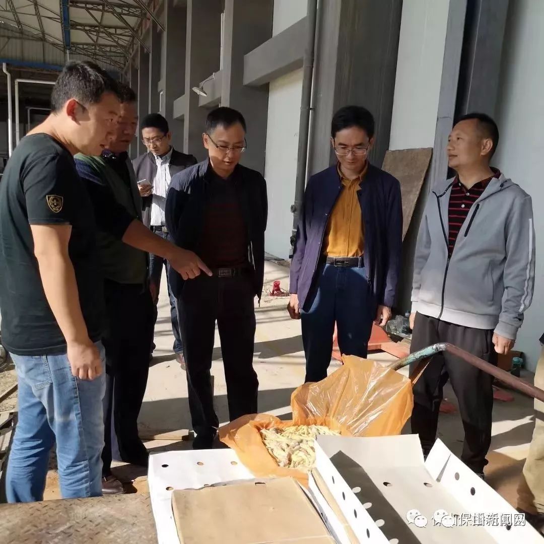 僵尸肉_僵尸肉怎么辨别_僵尸肉吃了有什么危害