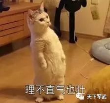 辈辈出人才_人才辈出_人才辈辈出求下句