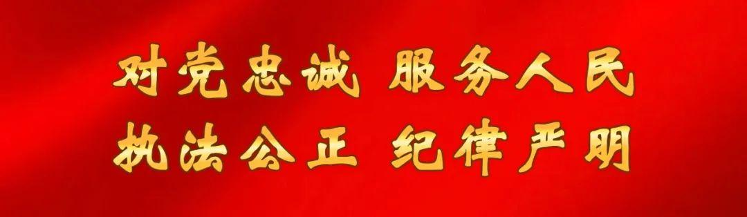 处置固定资产的账务处理_处置的意思_处置