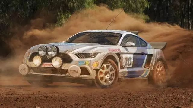 rallying_rallyingcry_rallying翻译